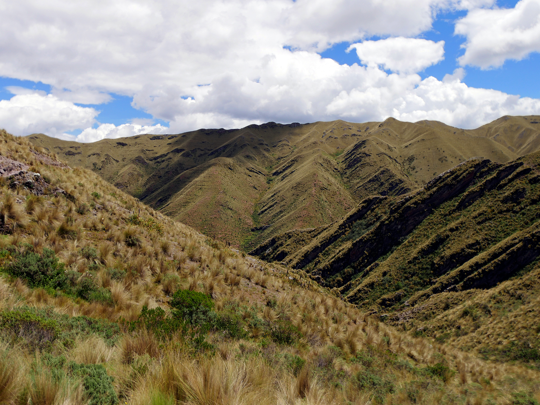 paysage de puna près de cusco