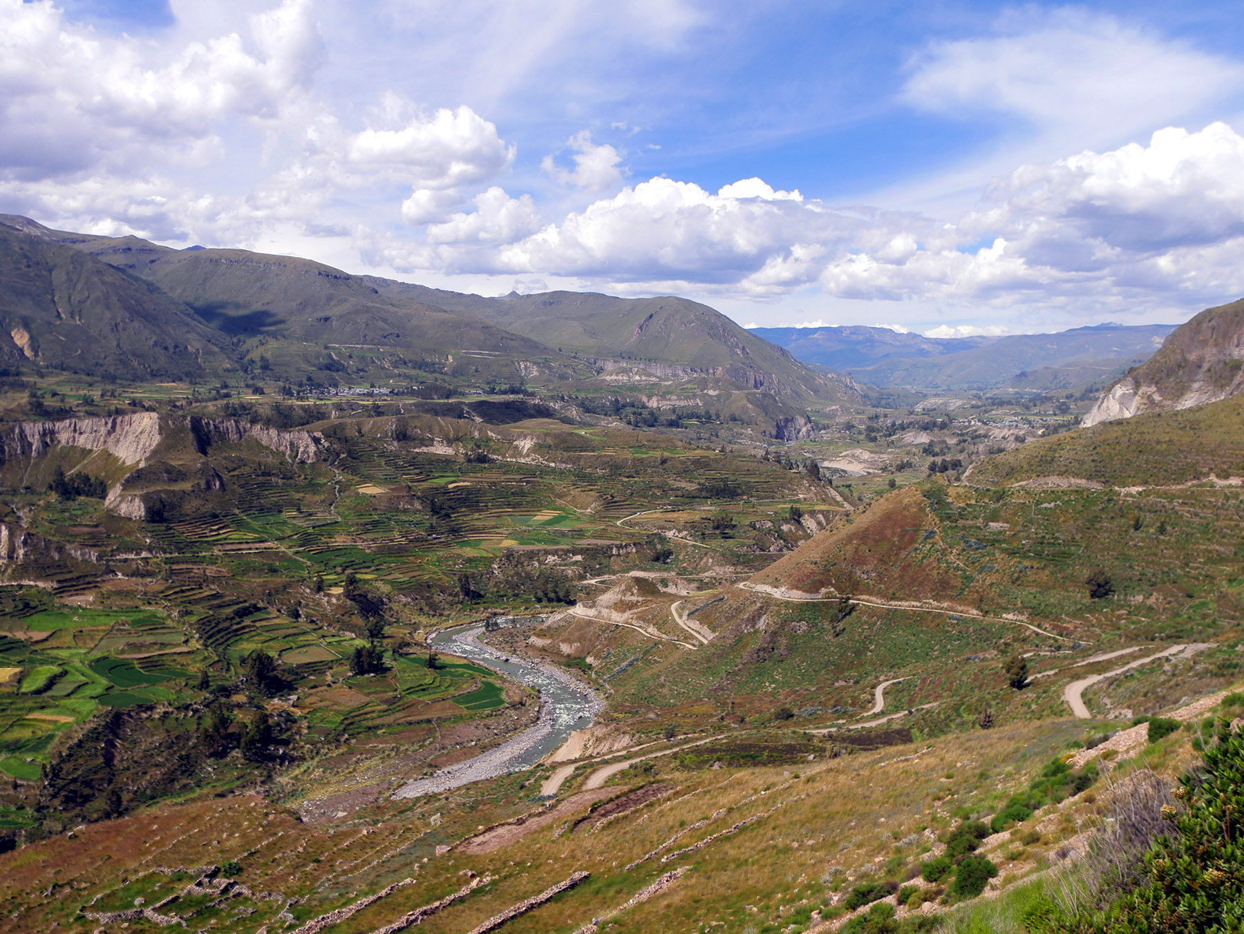 champs dans le canyon de colca