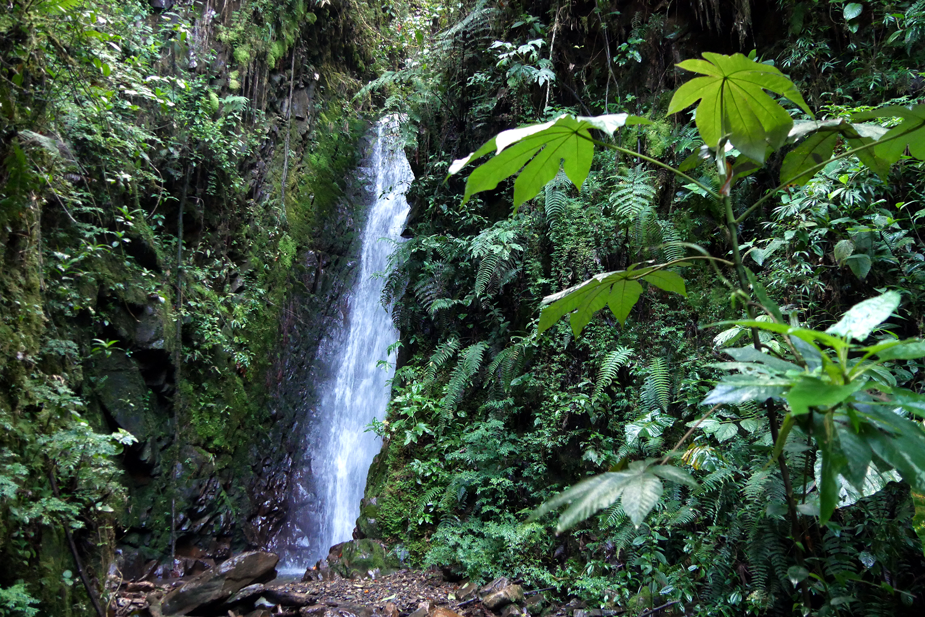 cascade près de Quillabamba
