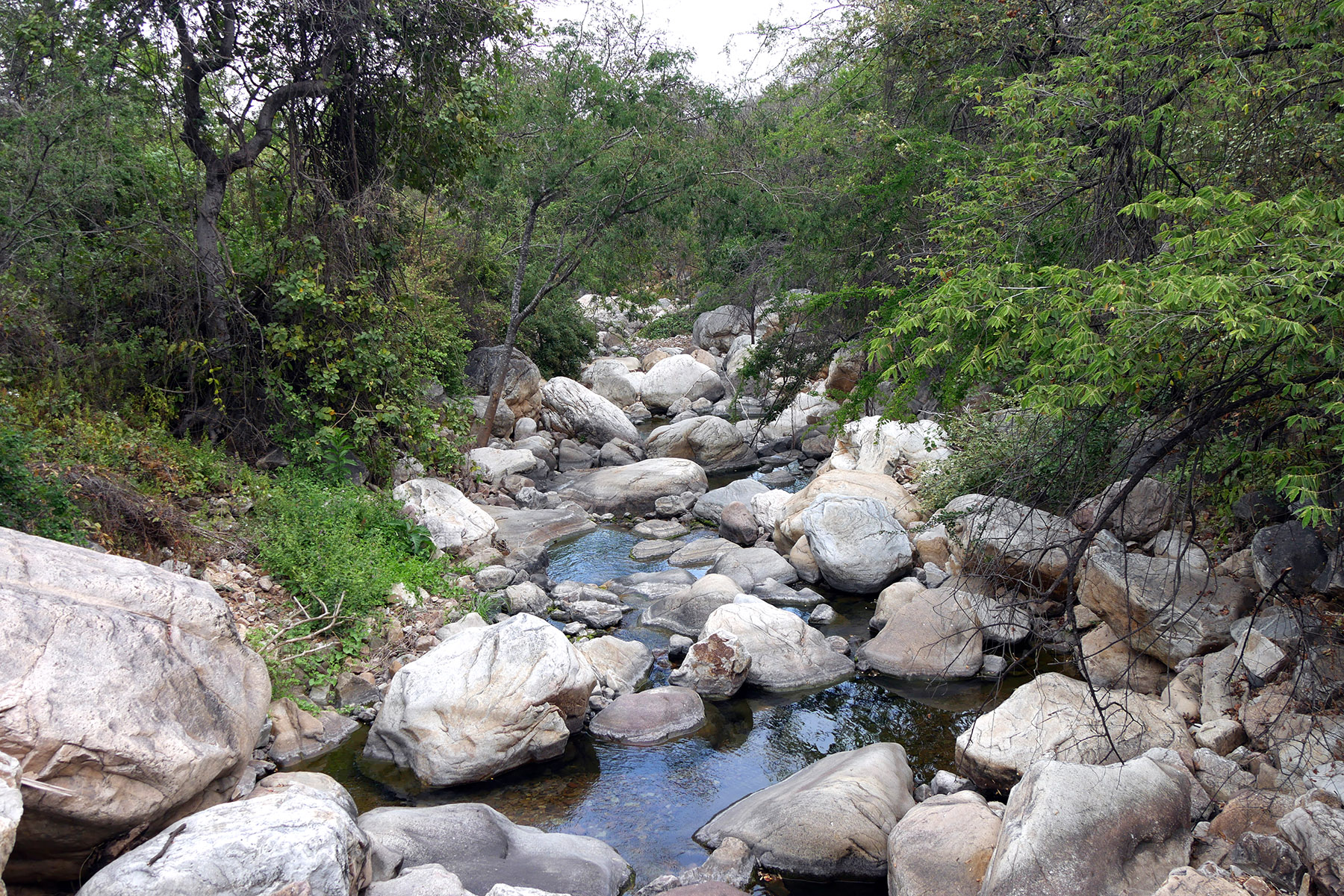 rivière dans la réserve chaparri