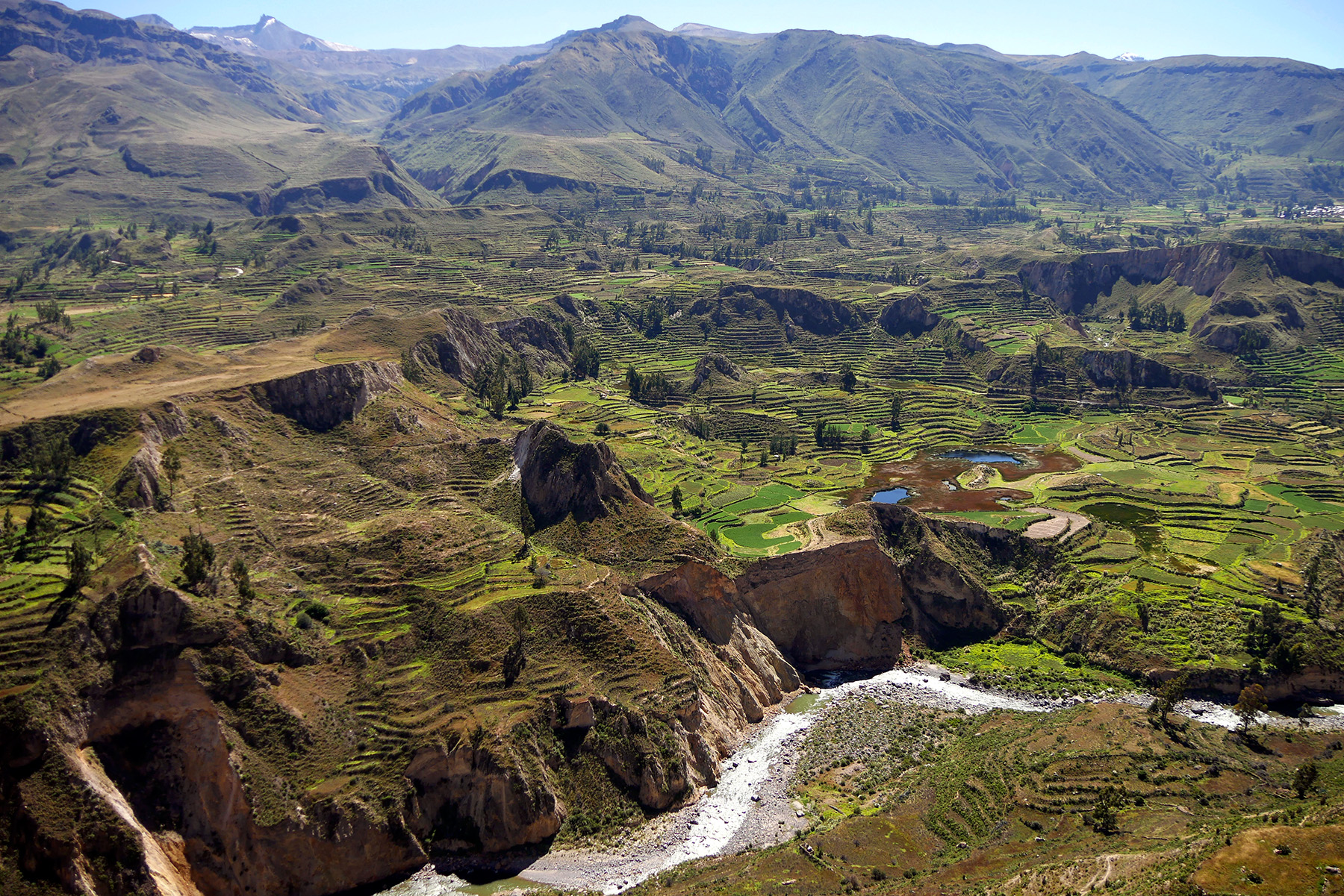 terrasses dans le canyon de Colca