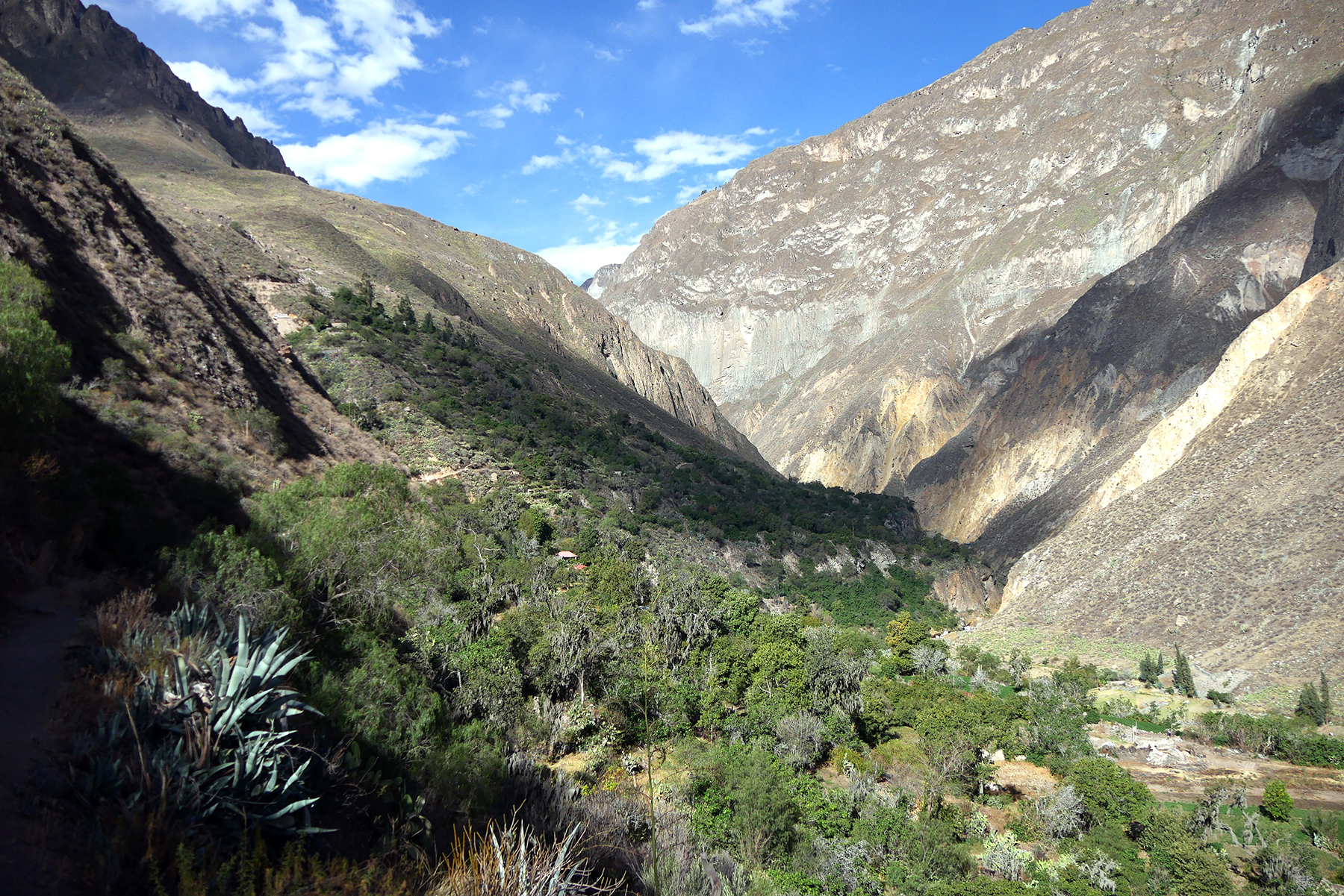 canyon de colca
