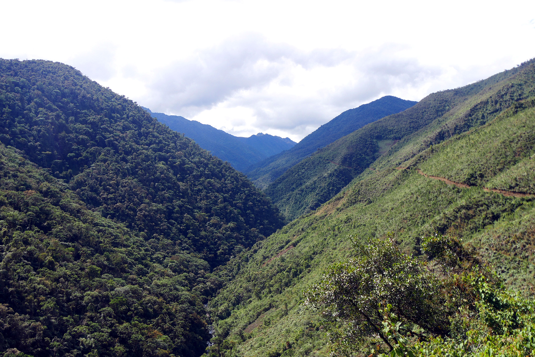 cordillera vilcabamba