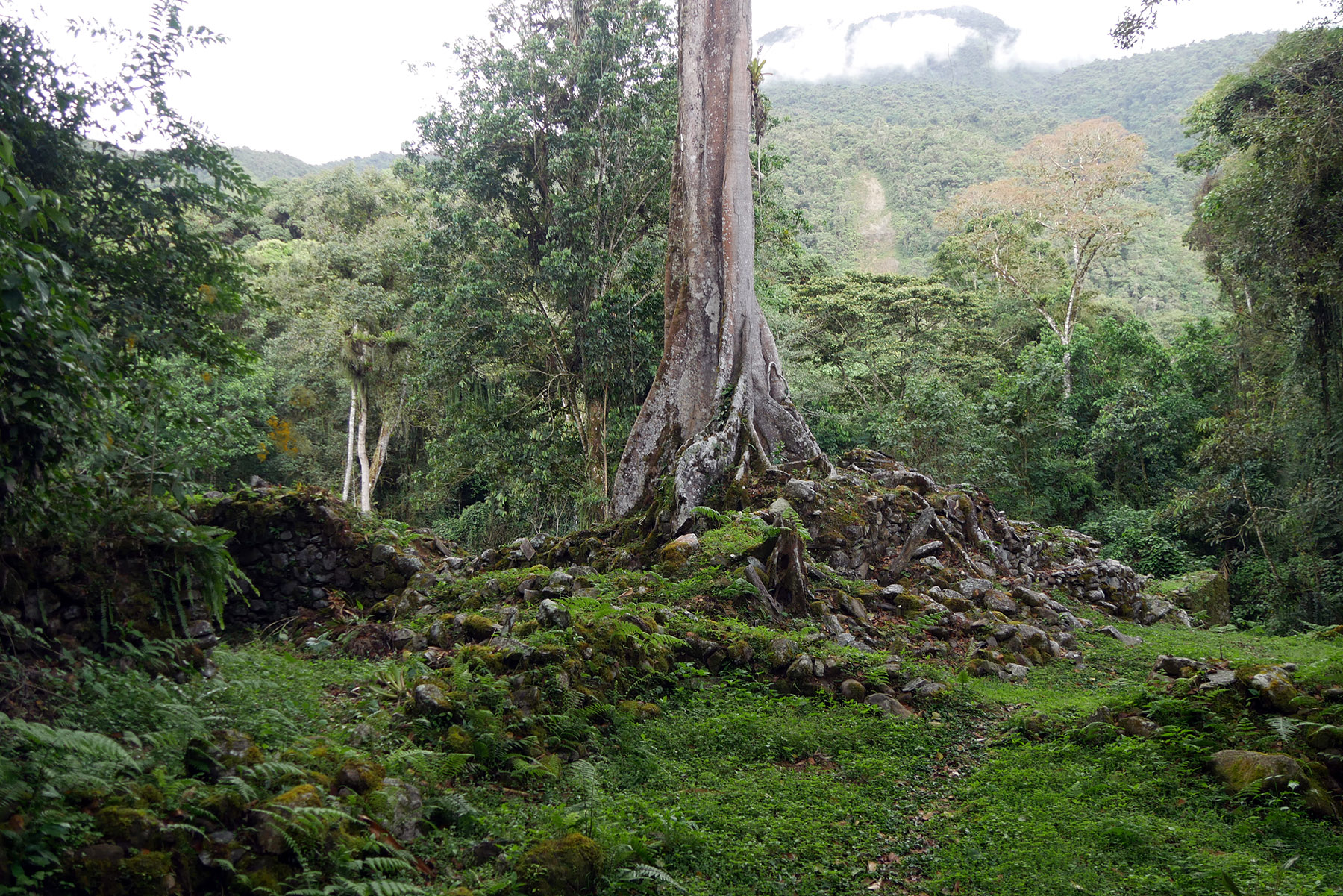 ruines d'Espiritu Pampa ou vilcabamba la vieja