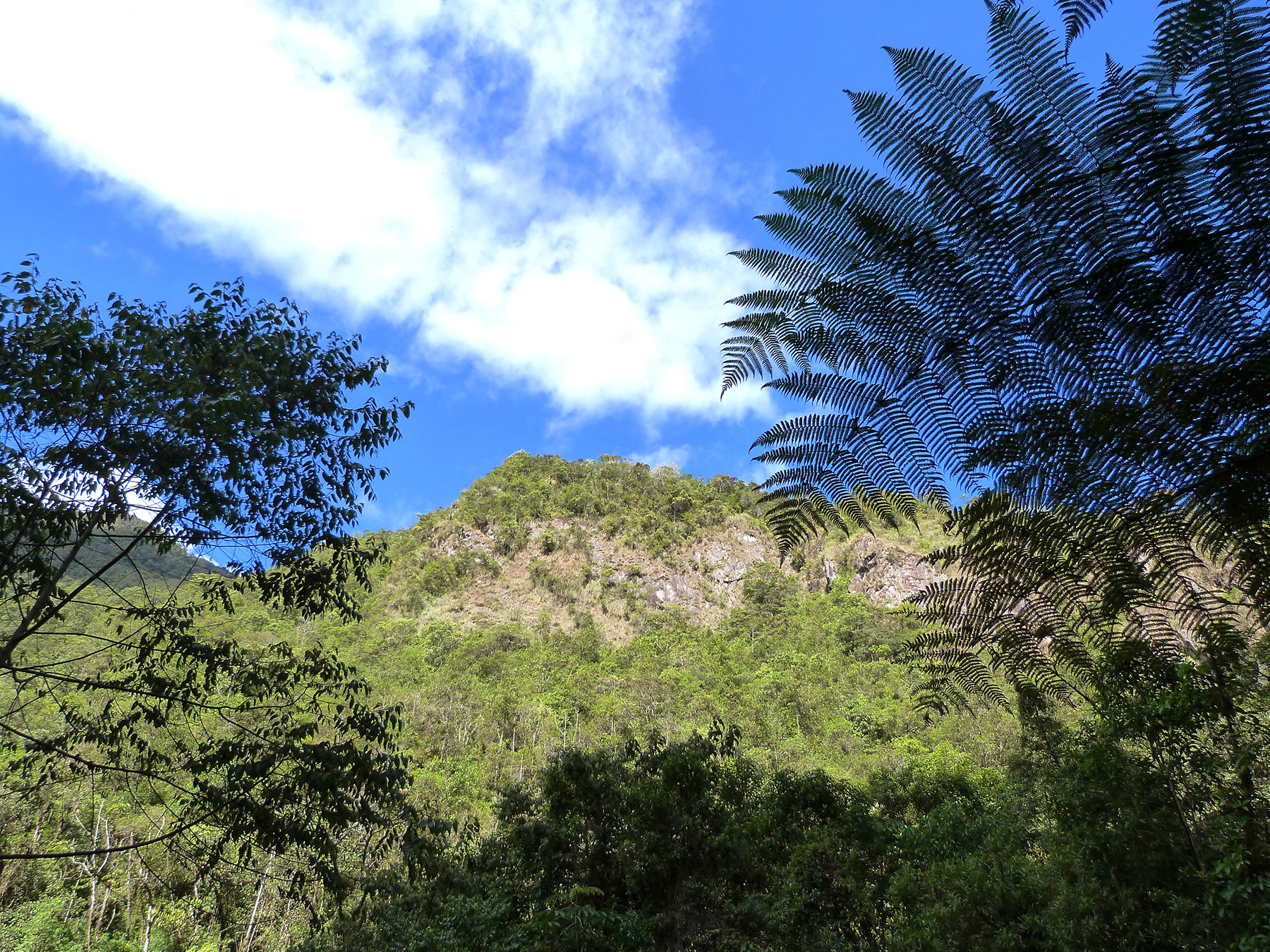 Mando pampa sous le machu picchu