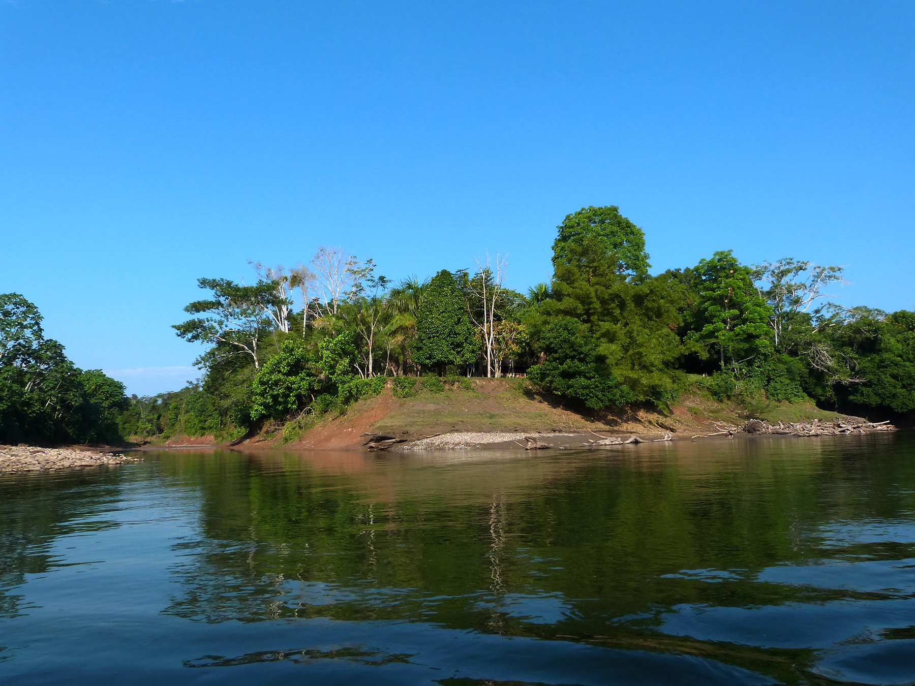forêt amazonienne au rio tambo