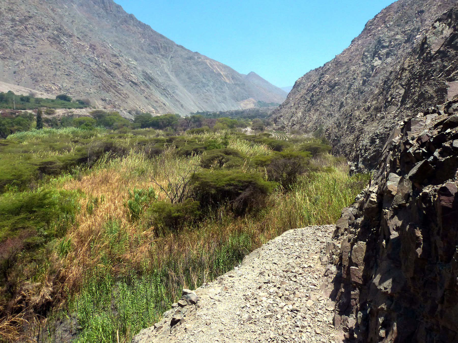 chemin inca vallée de Lurin